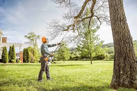 Best Hedge Trimming  in Perry Hall, MD