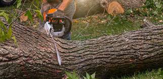 Best Aeration Services  in Perry Hall, MD